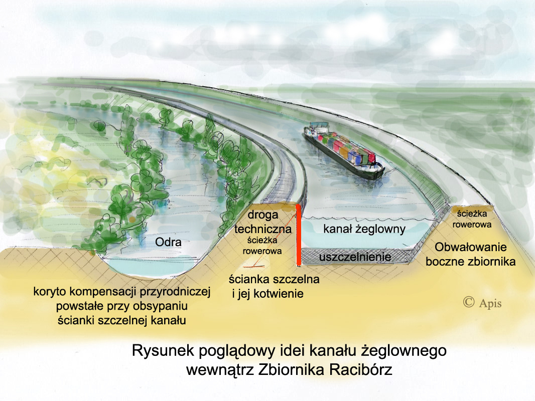 koncepcja - Andrzej Podgórski